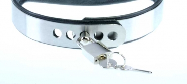 Halsband Edelstahl collar stainless steel