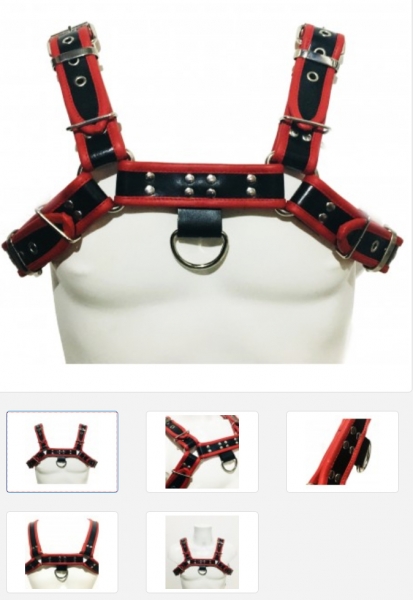 Harness XSJ 89,00 Echt Leder