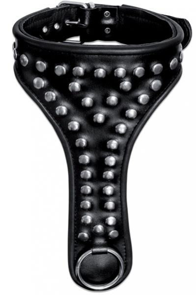 197 Leder Halsband 39 €