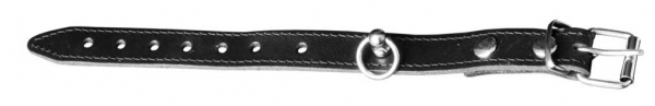 Cockringe aus Leder ab 13,-€   made in EU
